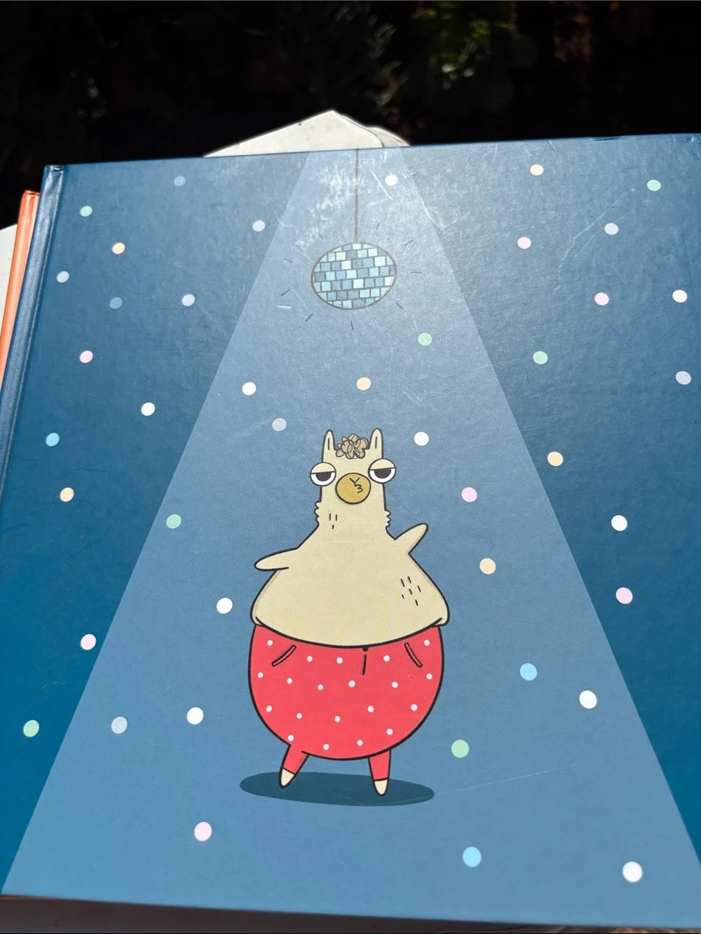 Llama Destroys World and Llama Rocks the Cradle of  Chaos Books Set -